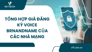 dich vu voice brandname