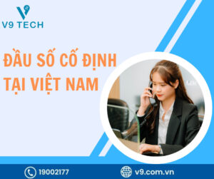 dau so co dinh 3 1