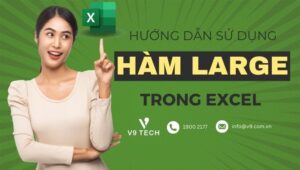 ham large excel