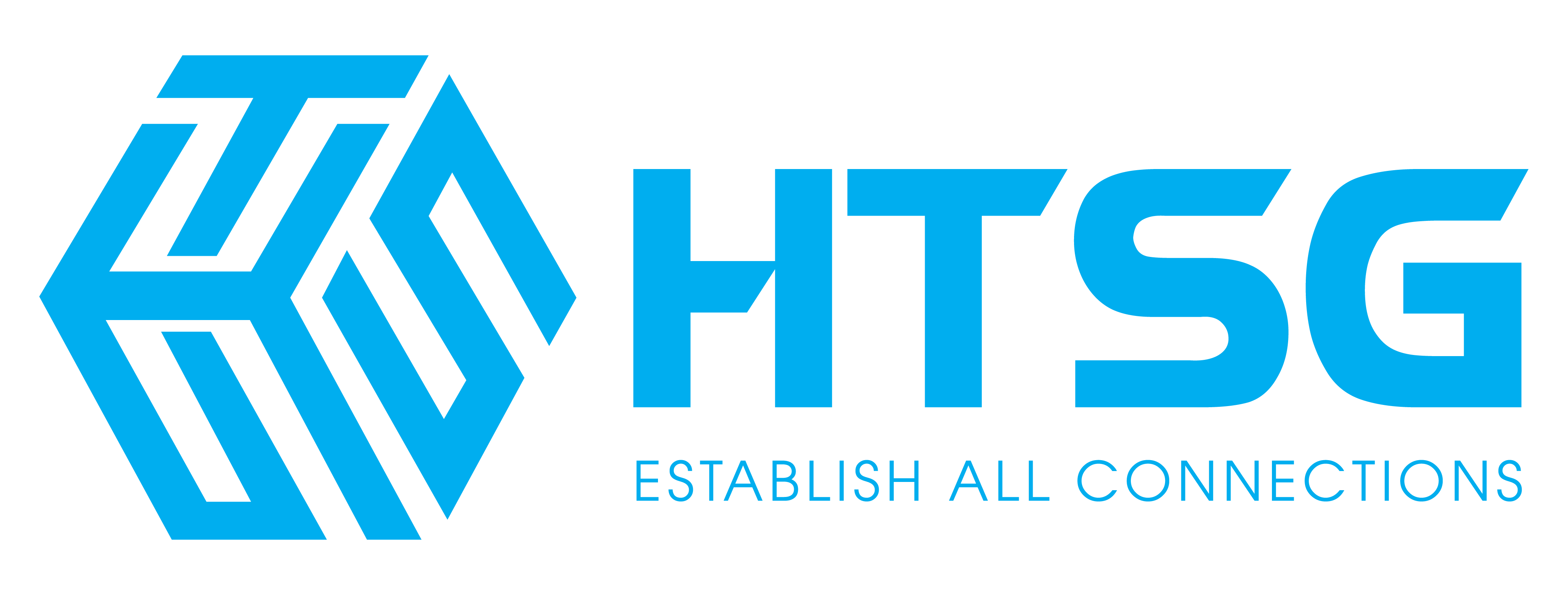 Logo HTSG 01