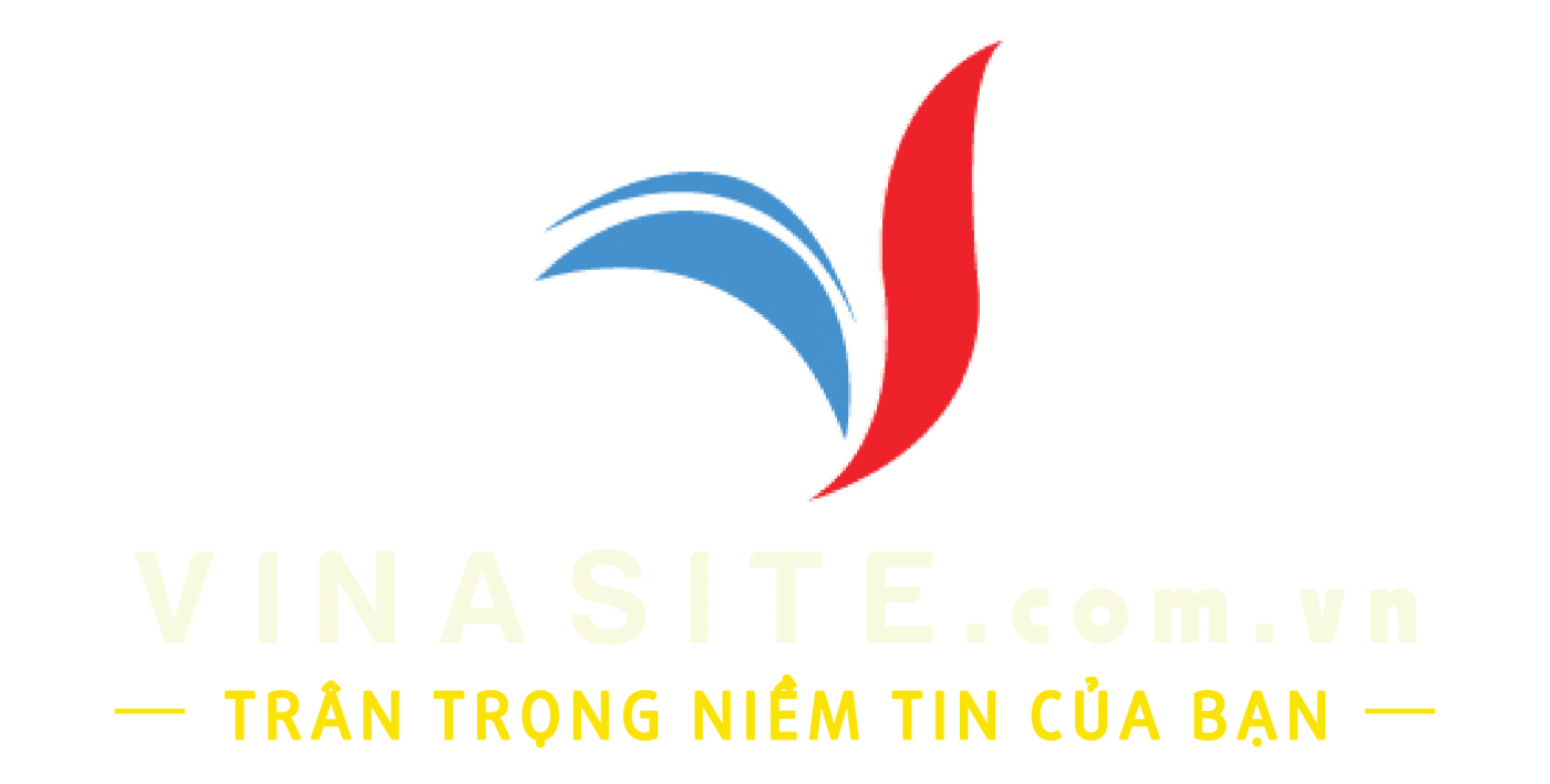 new vinasite logo 250x60 22 01 1400x709 min